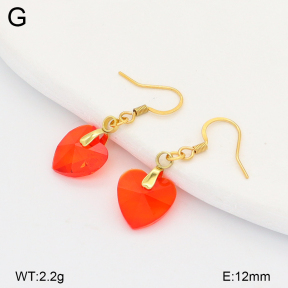 2E4005138aajo-698  Stainless Steel Earrings