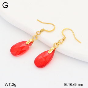 2E4005140aajo-698  Stainless Steel Earrings