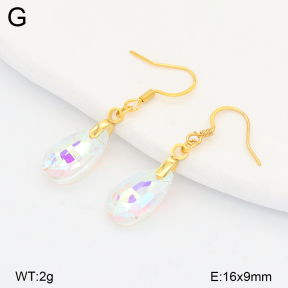2E4005141aajo-698  Stainless Steel Earrings