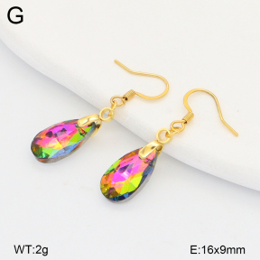 2E4005142aajo-698  Stainless Steel Earrings