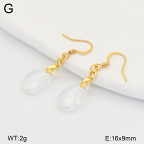 2E4005143aajo-698  Stainless Steel Earrings