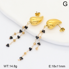 2E4005144aakl-698  Stainless Steel Earrings