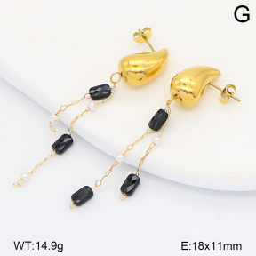 2E4005145aakl-698  Stainless Steel Earrings