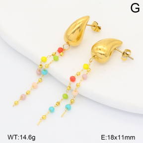 2E4005146aakl-698  Stainless Steel Earrings