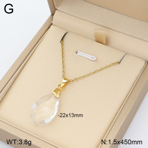 2N4005552aajl-698  Stainless Steel Necklace