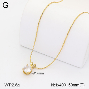 2N4005563ablb-749  Stainless Steel Necklace
