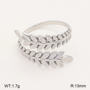 2R2002382vail-749  Stainless Steel Ring