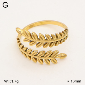 2R2002383aajl-749  Stainless Steel Ring