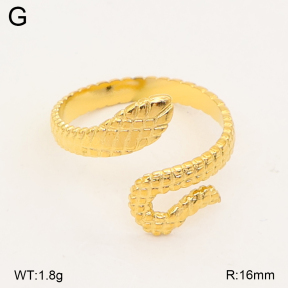 2R2002384aajl-749  Stainless Steel Ring