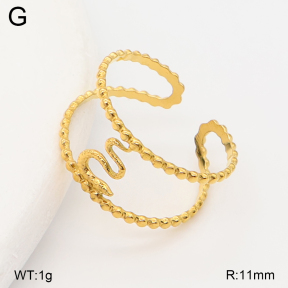 2R2002385aajl-749  Stainless Steel Ring