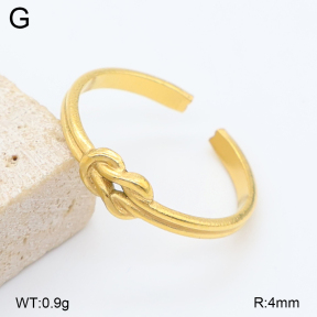 2R2002389aajl-749  Stainless Steel Ring
