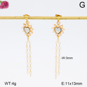 F2E301247baka-J73  Fashion Earrings