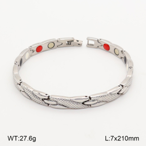 2B2005775vihb-763  Titanium  Stainless Steel Bracelet