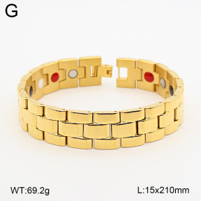 2B2005776vina-763  Titanium  Stainless Steel Bracelet