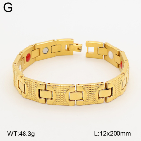 2B2005778vina-763  Titanium  Stainless Steel Bracelet