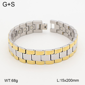 2B2005779vina-763  Titanium  Stainless Steel Bracelet