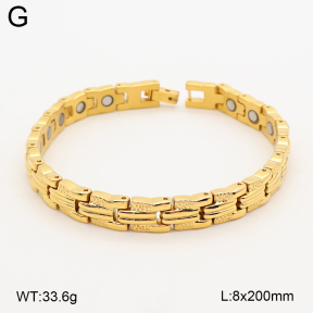 2B2005780aima-763  Titanium  Stainless Steel Bracelet