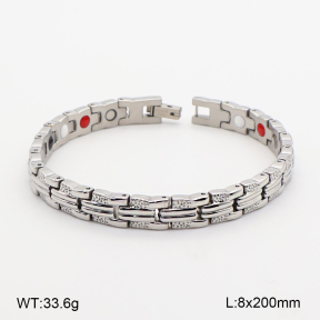2B2005782vihb-763  Titanium  Stainless Steel Bracelet