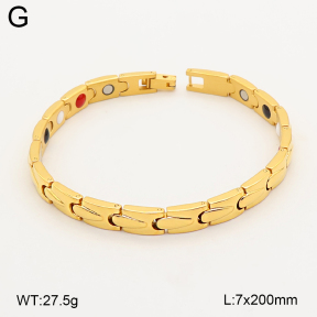 2B2005785aima-763  Titanium  Stainless Steel Bracelet