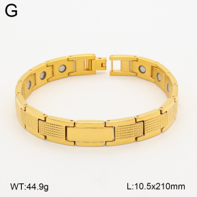 2B2005789vina-763  Titanium  Stainless Steel Bracelet