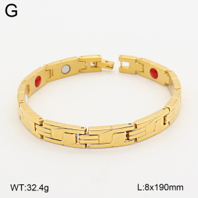 2B2005790aima-763  Titanium  Stainless Steel Bracelet