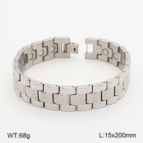 2B2005791biib-763  Titanium  Stainless Steel Bracelet