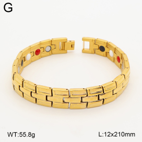 2B2005793vina-763  Titanium  Stainless Steel Bracelet