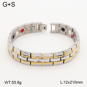 2B2005794vina-763  Titanium  Stainless Steel Bracelet