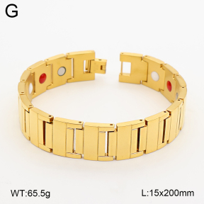 2B2005795vina-763  Titanium  Stainless Steel Bracelet