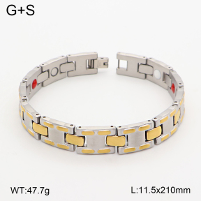 2B2005799vina-763  Titanium  Stainless Steel Bracelet