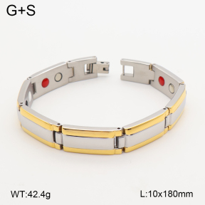 2B2005801vina-763  Titanium  Stainless Steel Bracelet