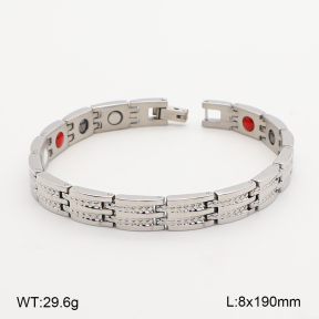 2B2005807vihb-763  Titanium  Stainless Steel Bracelet