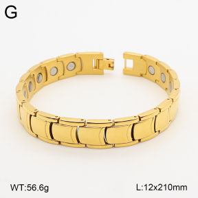 2B2005808vina-763  Titanium  Stainless Steel Bracelet