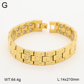 2B2005812vina-763  Titanium  Stainless Steel Bracelet