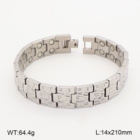 2B2005813biib-763  Titanium  Stainless Steel Bracelet