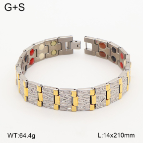 2B2005814vina-763  Titanium  Stainless Steel Bracelet