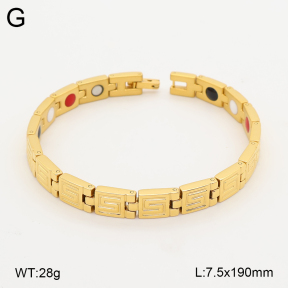 2B2005818aima-763  Titanium  Stainless Steel Bracelet