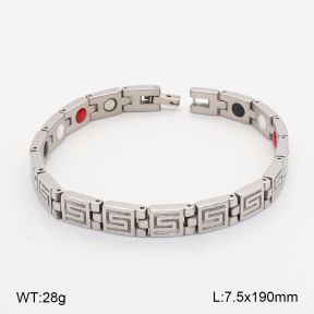 2B2005819vihb-763  Titanium  Stainless Steel Bracelet