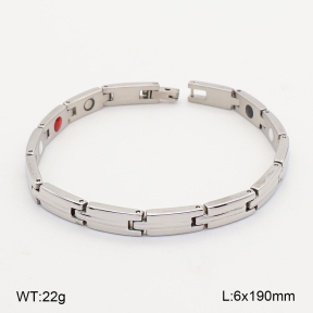 2B2005820vihb-763  Titanium  Stainless Steel Bracelet