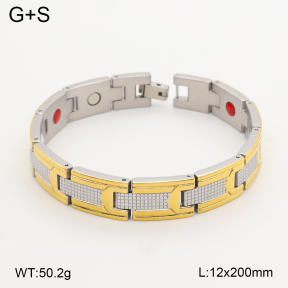 2B2005821vina-763  Titanium  Stainless Steel Bracelet