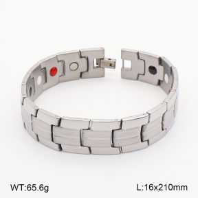 2B2005822biib-763  Titanium  Stainless Steel Bracelet