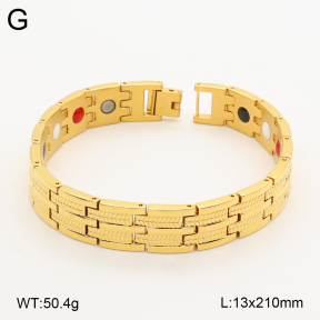 2B2005823vina-763  Titanium  Stainless Steel Bracelet