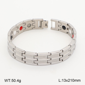 2B2005824biib-763  Titanium  Stainless Steel Bracelet