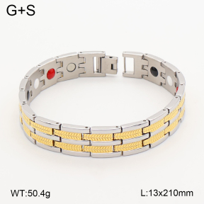 2B2005825vina-763  Titanium  Stainless Steel Bracelet