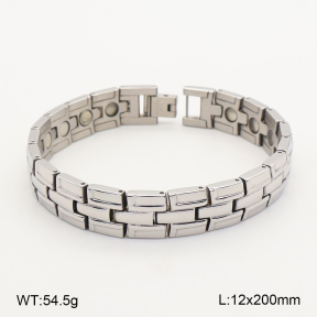 2B2005826biib-763  Titanium  Stainless Steel Bracelet