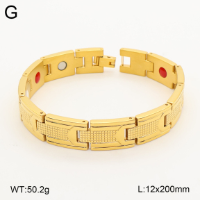 2B2005827vina-763  Titanium  Stainless Steel Bracelet