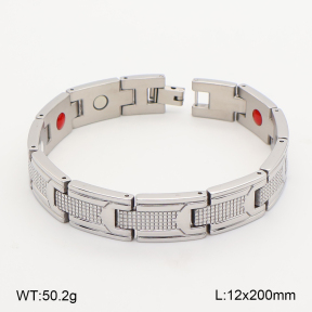 2B2005828biib-763  Titanium  Stainless Steel Bracelet