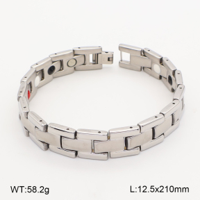 2B2005829biib-763  Titanium  Stainless Steel Bracelet