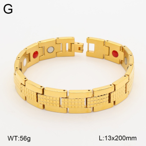 2B2005830vina-763  Titanium  Stainless Steel Bracelet