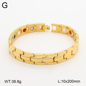 2B2005834vina-763  Titanium  Stainless Steel Bracelet